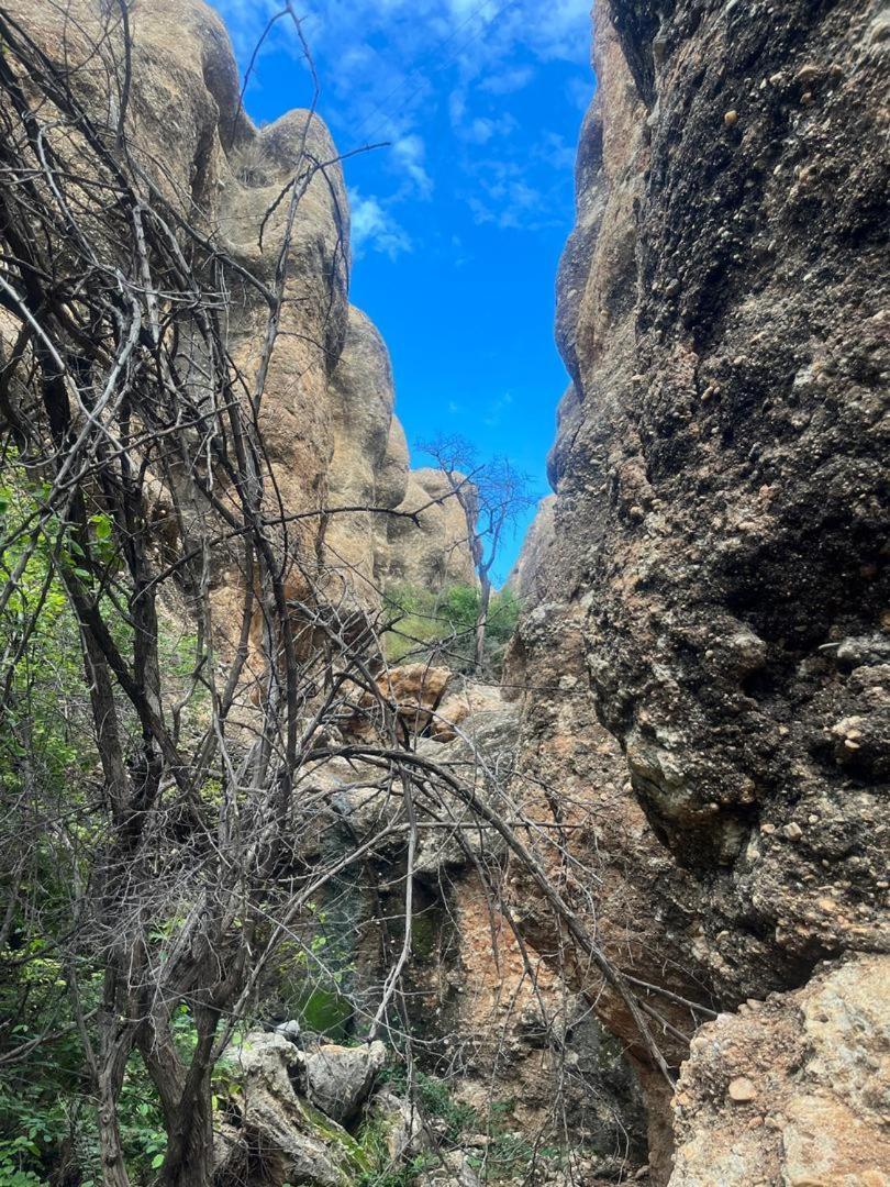 Sasa Safari Camp & Tours Βίλα Outjo Εξωτερικό φωτογραφία